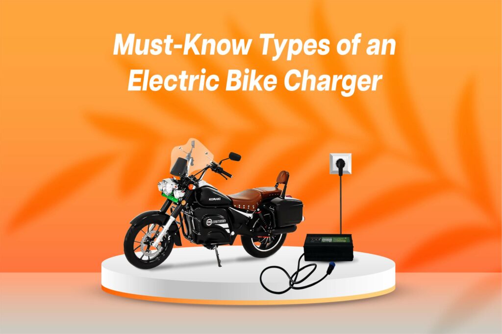 Must-Know Types of an Electric Bike Charger