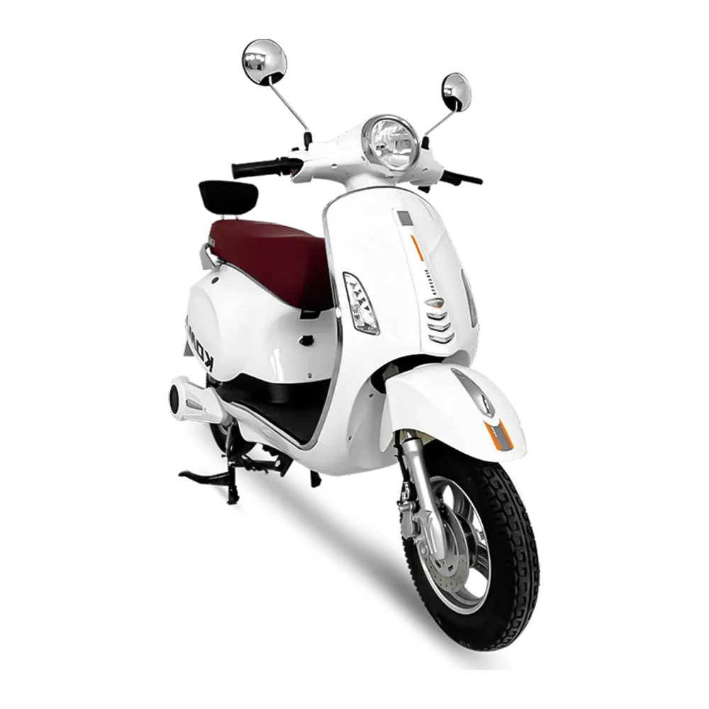 Best Electric Scooter for Delivery