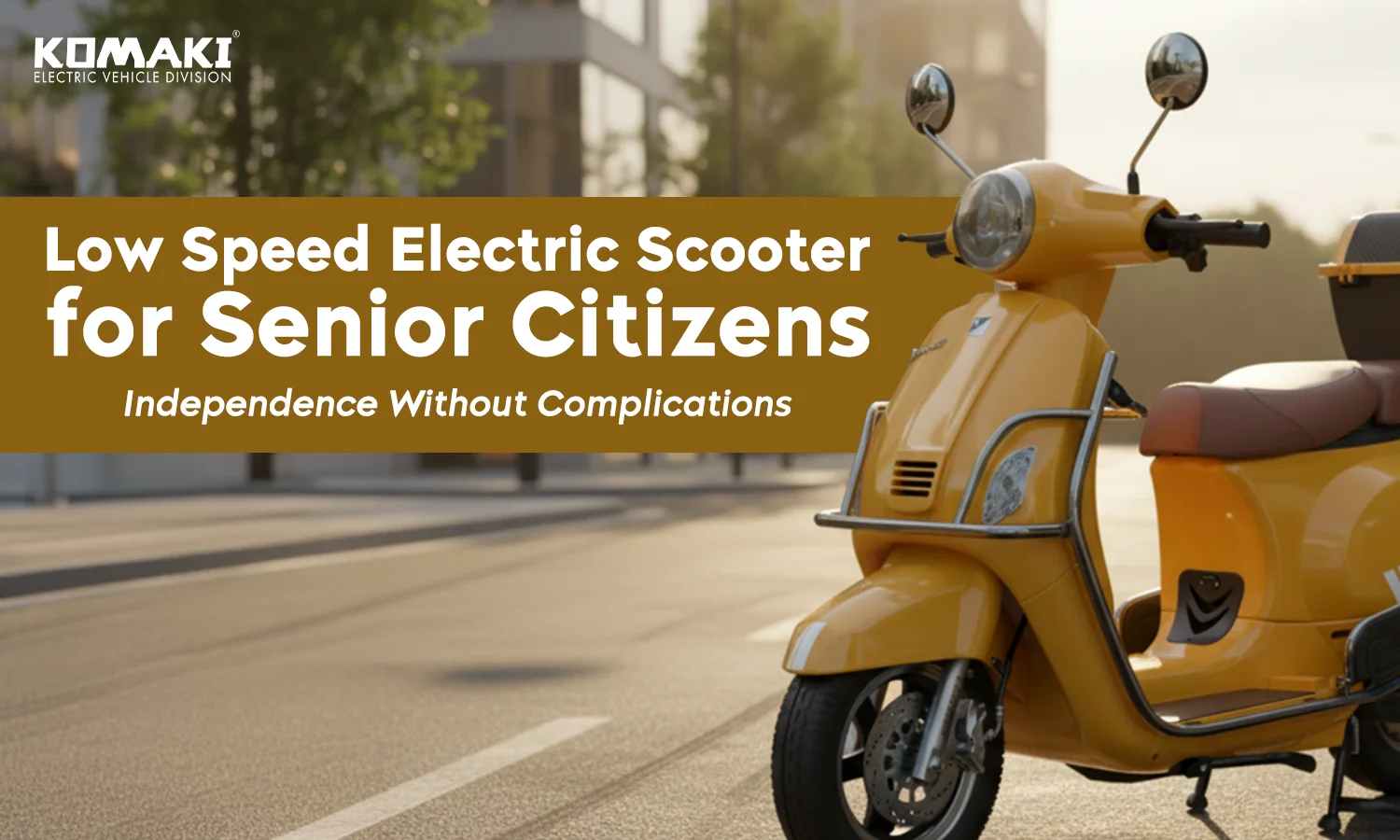 Low Speed Electric Scooter for Senior Citizens